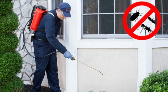 Amasra Akrep İlaçlama böcek ilaçlama ve haşere kontrolü — ilaclama-tr.com